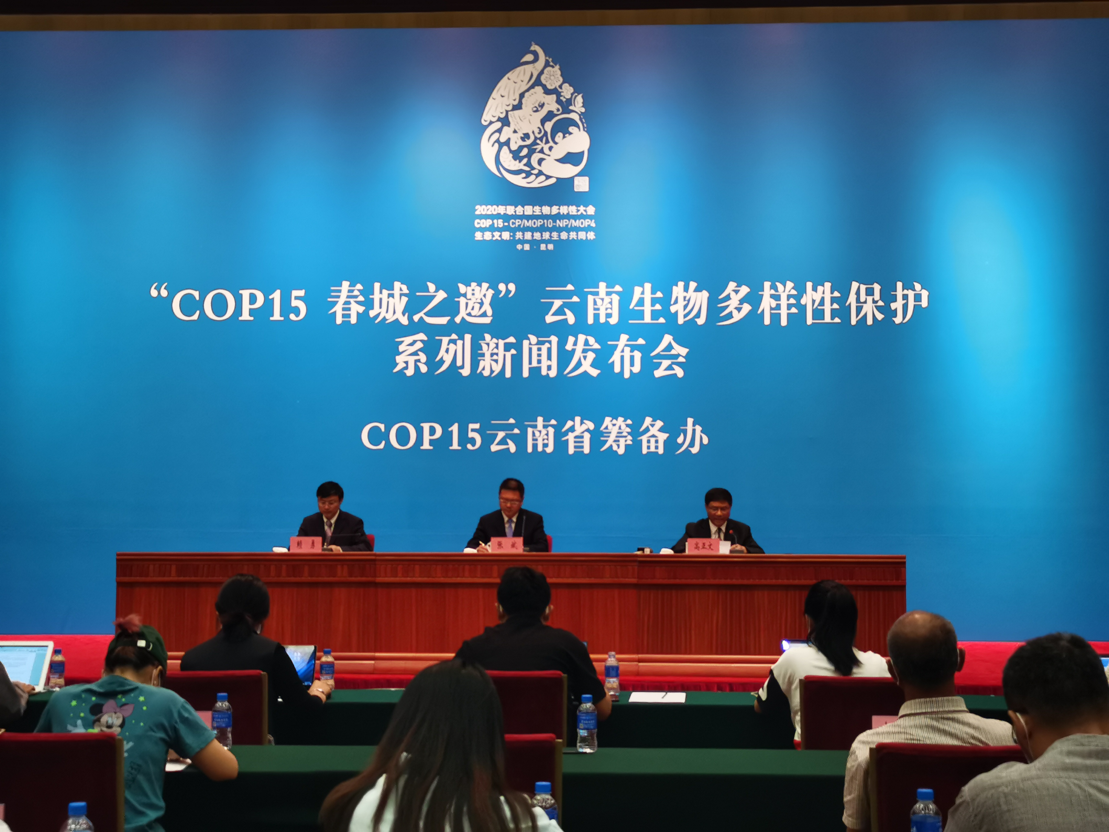 cop15来了 昆明市将开通会议服务直达公交专线44条