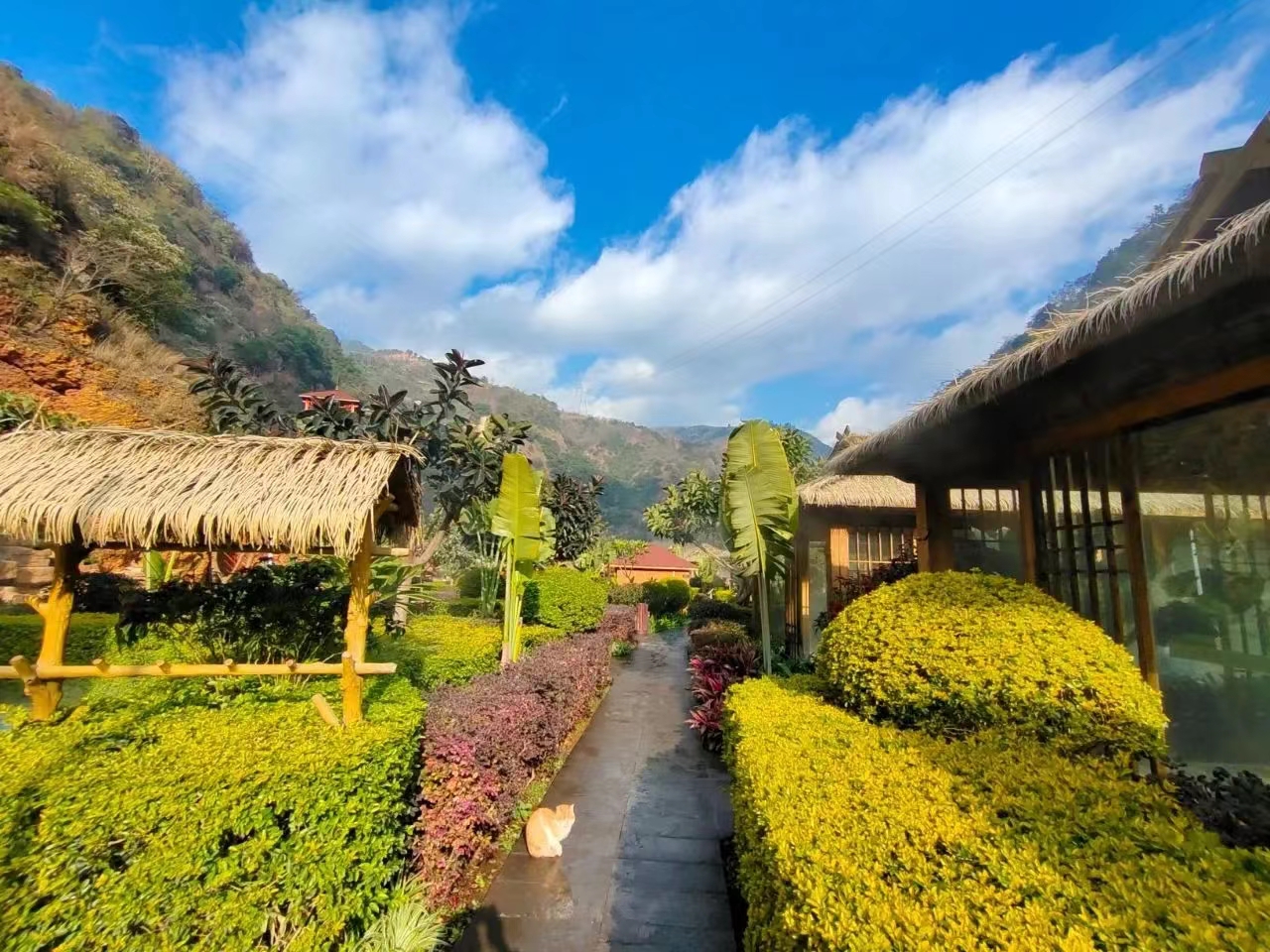 在禄劝县城也有一家温泉——蓝湾温泉酒店,位于凤家古镇对面,是一家