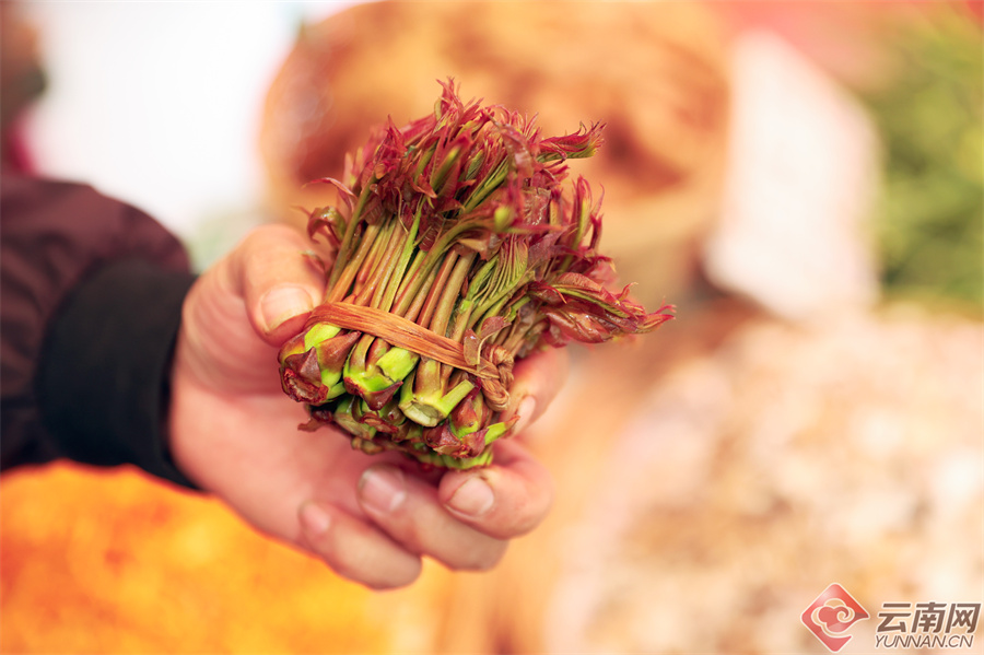 春花春菜上线,舌尖上感受"有一种叫云南的生活"