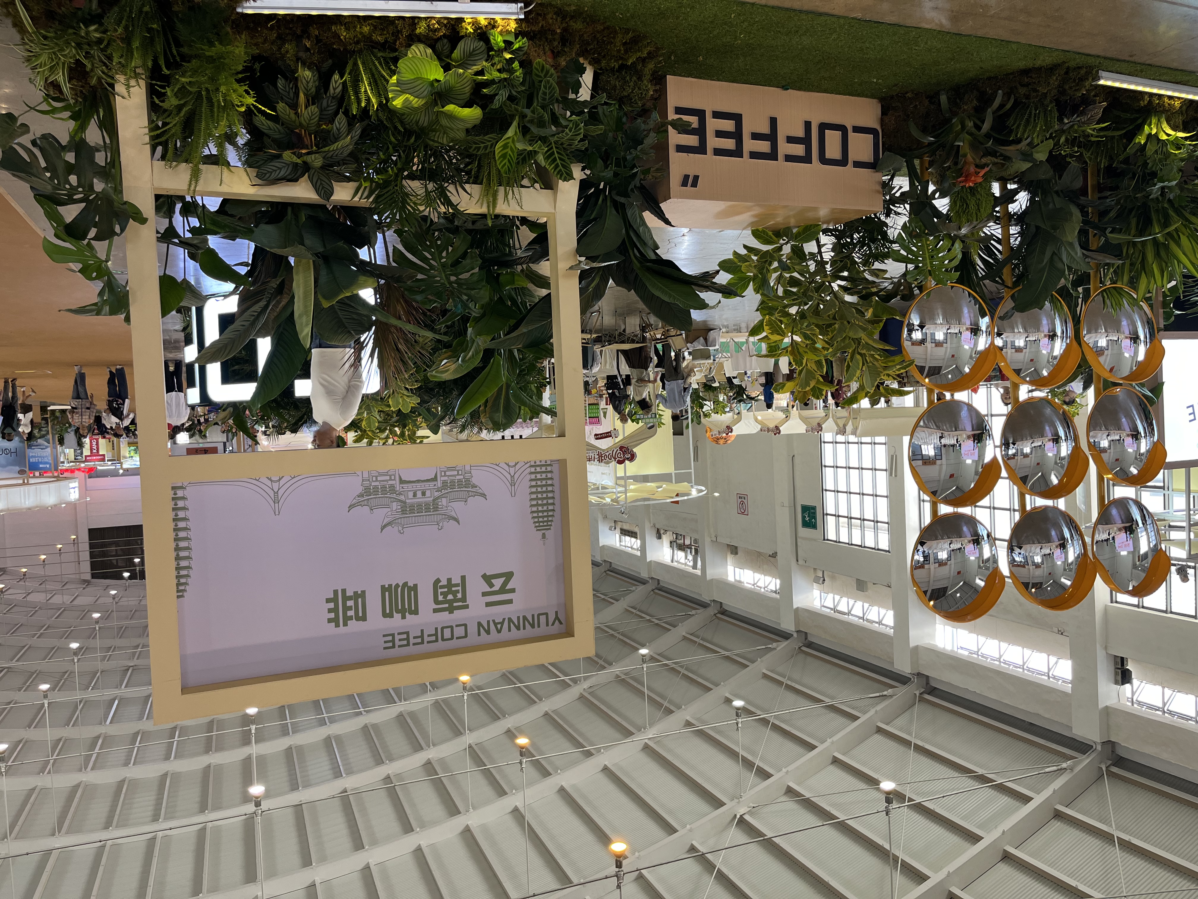 D80929B8-67C1-40DA-B47D-34DDE978C0EA.jpeg